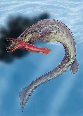 285px-Hainosaurus073