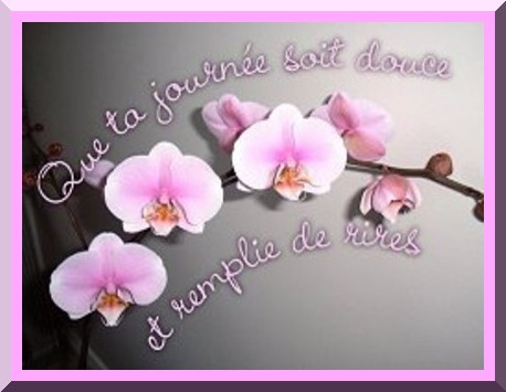 bonne journee 329