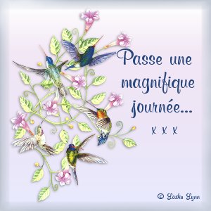 31272bonjour 005 1 