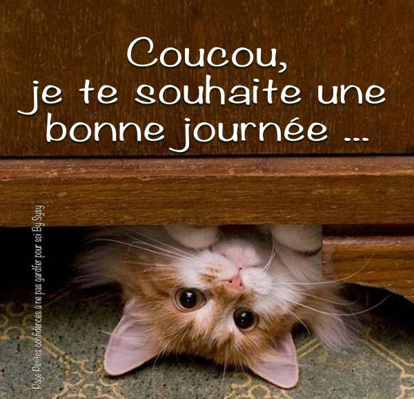 bonne-journee 013
