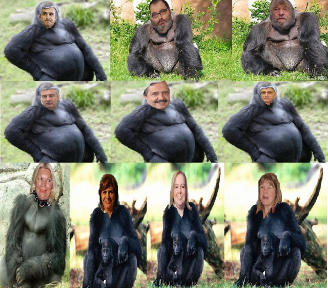 gorilas