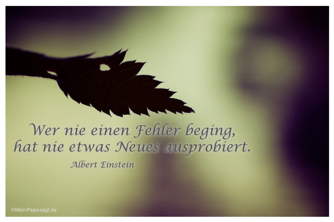 wer-nie-einen-fehler-beging-mein-papa-sa