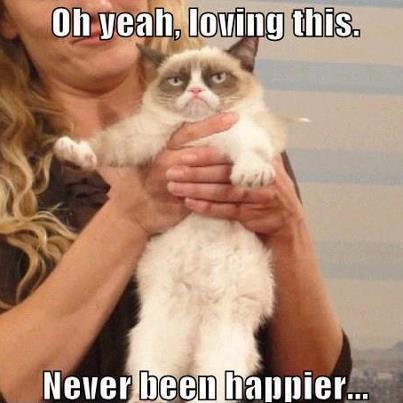 post-8453-Oh-yeah-loving-this-Never-been