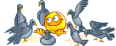 smileys-vogel-208387