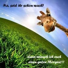 accc47 guten morgen