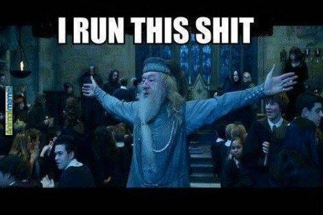 funny-memes-dumbledore-i-run-this-shit