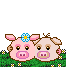 9osl5lktbwzm36oh6