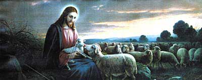 hermetikpoimandresbild