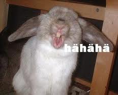 4b3347 hase