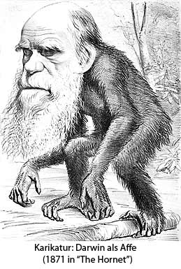 darwin-affe-klein