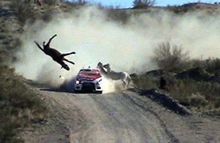 evo-hits-horse