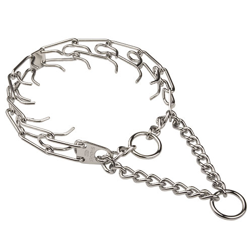 Stachelhalsband-Hund LRG