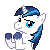 clapping pony icon shining armor by ta