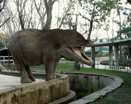 Photoshop-Tiere-Fun-Bilder