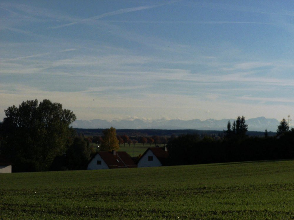 5ddf22 Efeuinsekten 085