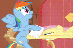 904898 rainbow dash fluttershy animated