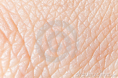 human-skin-17108889