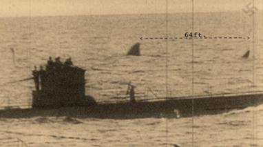 382px-Megalodon by u boat
