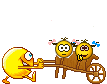 lngtz3pshsi