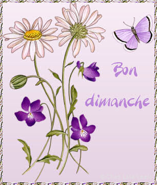 bon-dimanche-2