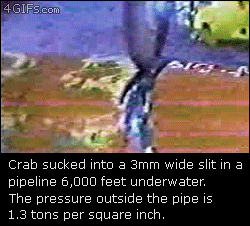 1367096338842