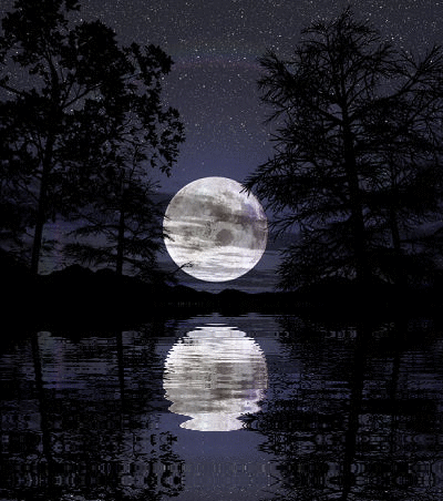 mond5