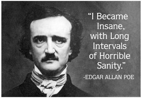 i-became-insane-with-intervals-of-sanity