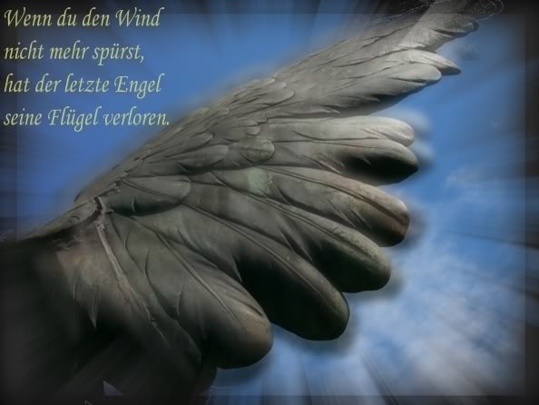 spruch003 1