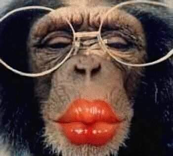 kiss