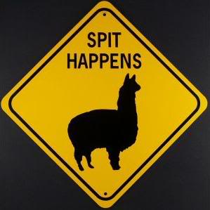 spit happens