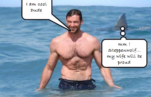 e77c2b shark