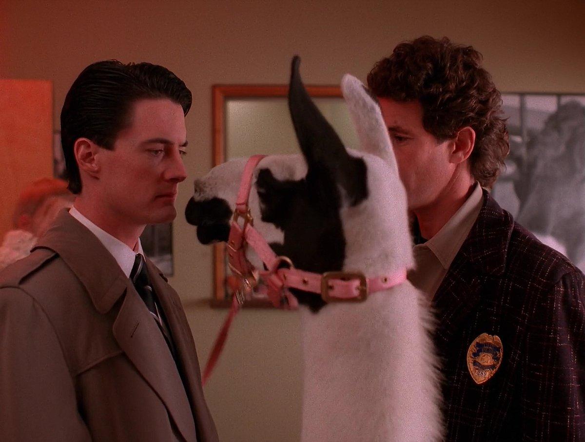 Twin Peaks Alpaca - Copy