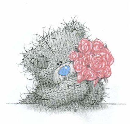teddy  18 