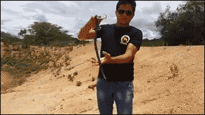 8mFdqLKT1GRb0XJnQT3y Fuck-You-Snake