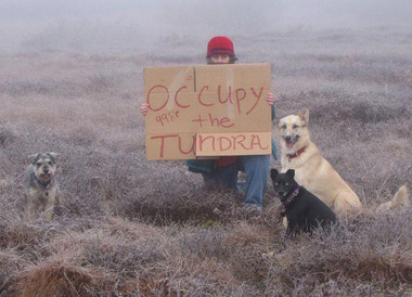111016 tundra pd k embed
