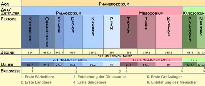 XhLMF0 evolution zeitskala3