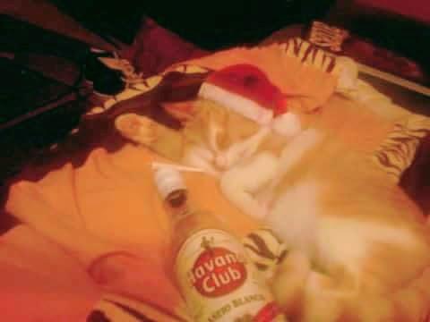 FB IMG 1454889698003