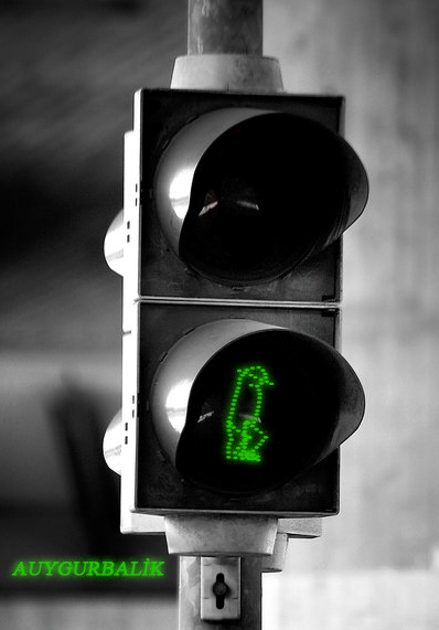 ZbZEfG mj street sign