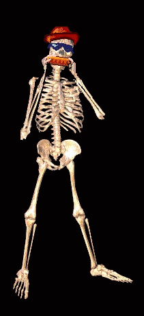 skull14