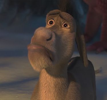 donkey-shrek-sad-i0