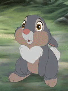thumper-blinking