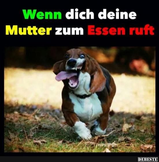 3be835588bc7 88c6d72879b6e5ca604c126cb37071a6