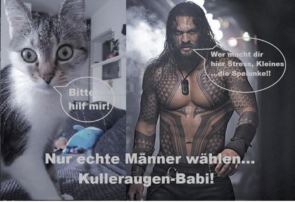 998adc1d4b7142dd babi-wahl