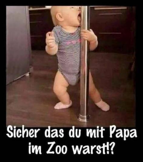 a67bae9a4bb03f6e zoo