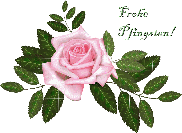b4ecac1f9a0b66d3 0sjv9nwhbkc