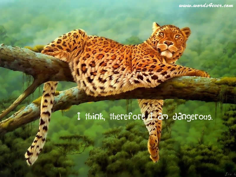 d787bf301b92 words4ever wallpaper 98