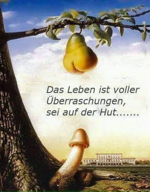 Leben ist voller berraschungen - Copy