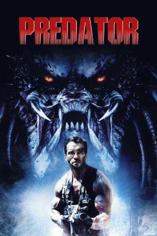 20250211 predator