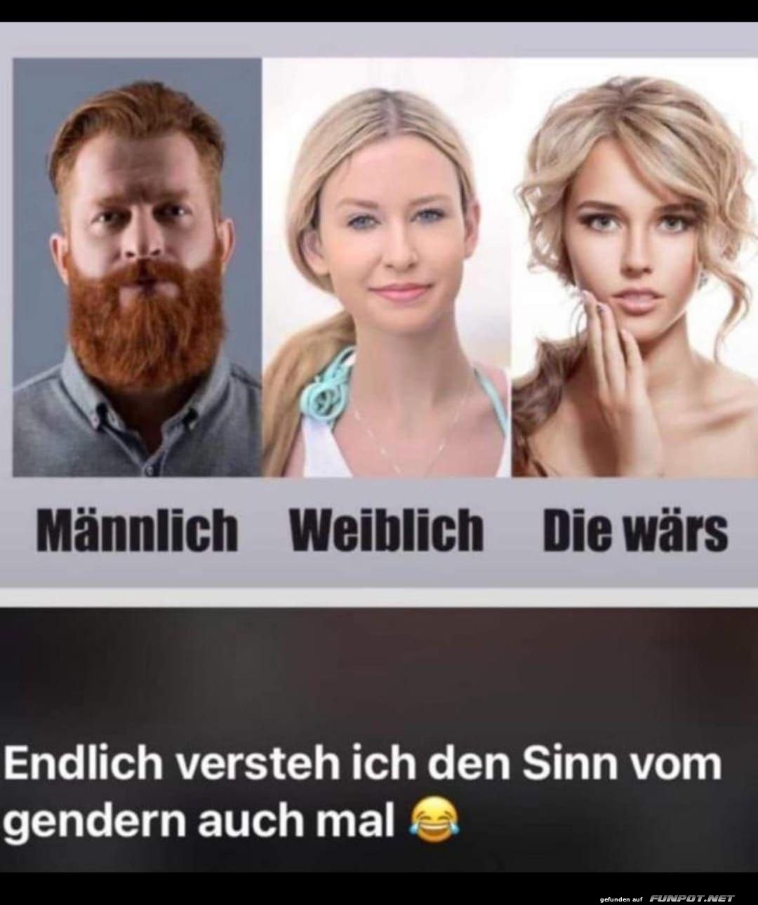 Humorvolle Darstellung von Genderoptione