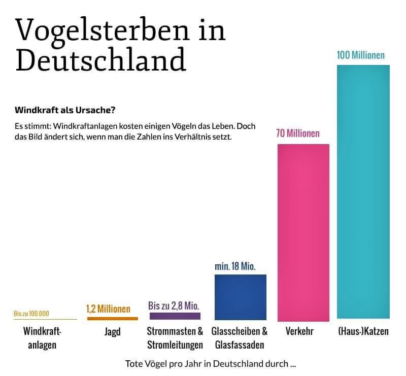 vogelst - Copy